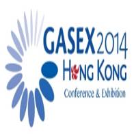 第13届亚洲西太平洋地区国际燃气技术交流会暨展览会 (GASEX 2014)