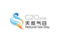 G20天然气日活动成果及亮点--今日封面221.png