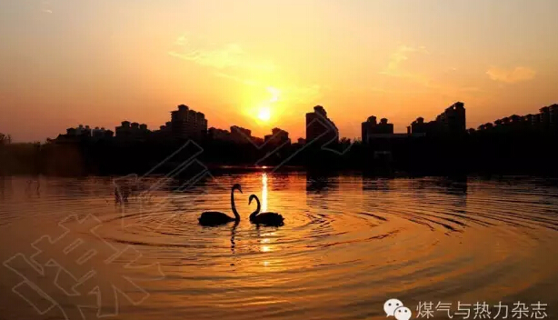 1469671692705674.jpg QQ截图20160728100722.jpg