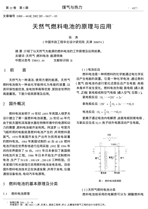 介绍了以天然气为能源的燃料电池的工作原理及应用前景.
